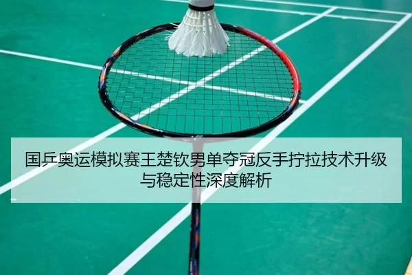 guo-ping-ao-yun-mo-ni-sai-wang-chu-qin-nan-dan-duo-guan-fan-shou-ning-la-ji-shu-sheng-ji-yu-wen-ding-xing-shen-du-jie-xi-2-124.jpg